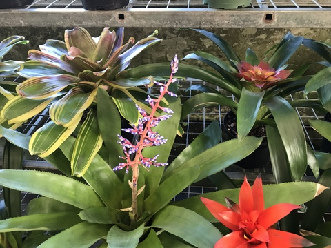 Leaked mtpocketz header onlyfans leaked