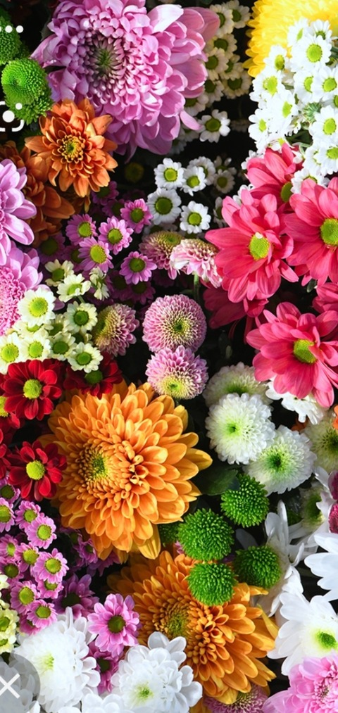 Leaked musclebarbie573 header onlyfans leaked