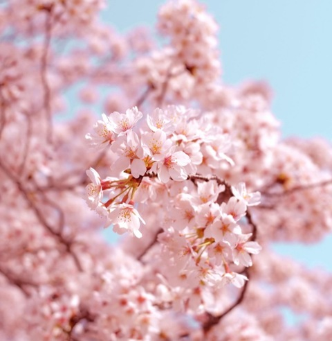 Leaked mykie_22 header onlyfans leaked