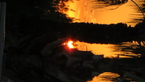 Leaked mylfnschaekzzz header onlyfans leaked