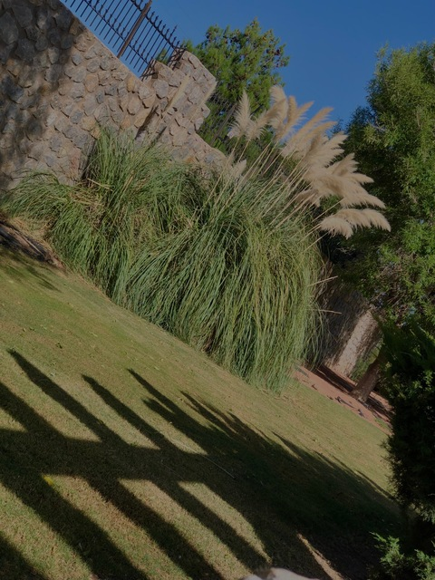 Leaked nainguerrero header onlyfans leaked