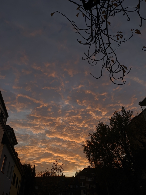 Leaked nakedsunrise header onlyfans leaked