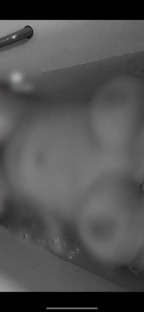 Leaked naomisnudez header onlyfans leaked