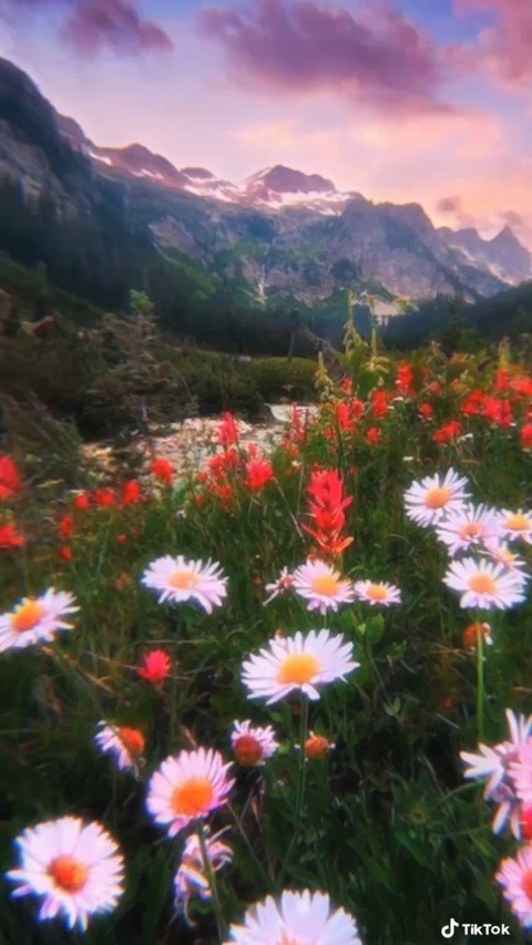 Leaked naughty_nymphoo header onlyfans leaked