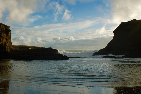 Leaked nicole865 header onlyfans leaked