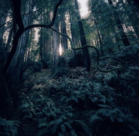 Leaked nocturnally_yours header onlyfans leaked