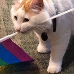 nomeansno OnlyFans Leaks 

 profile picture