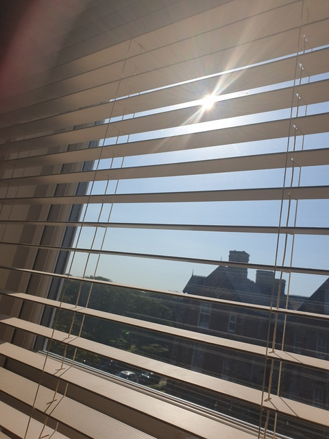 Leaked norris header onlyfans leaked