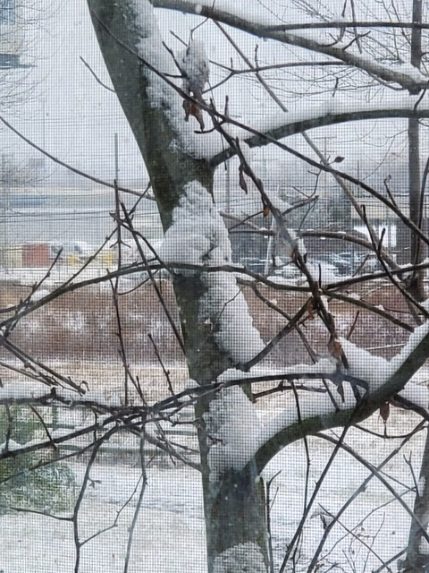 Leaked norwayxlove header onlyfans leaked