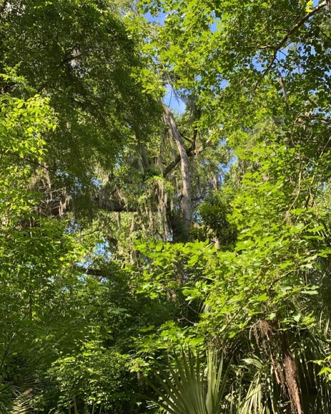 Leaked notrenwren header onlyfans leaked