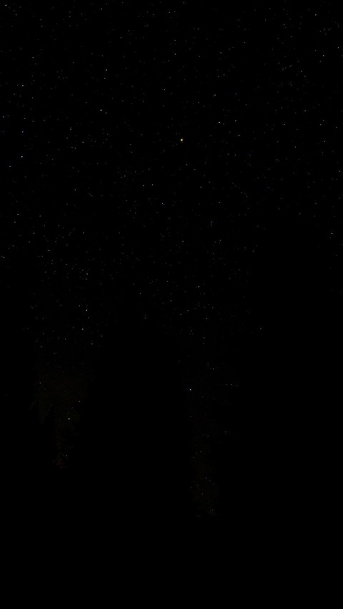 Header of nympho_lilith