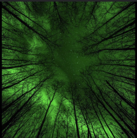 Leaked oceanmay2020 header onlyfans leaked