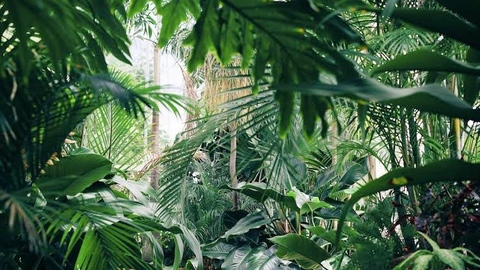 Leaked ohmyfkinyea header onlyfans leaked