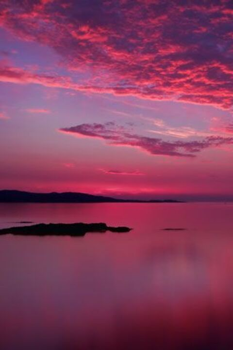 Leaked oliviaarosee9 header onlyfans leaked