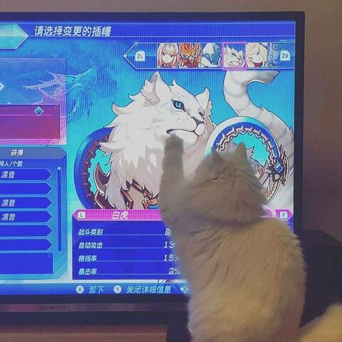 Leaked omorimeow header onlyfans leaked