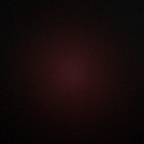 Leaked onlywhalesbetting onlyfans leaked