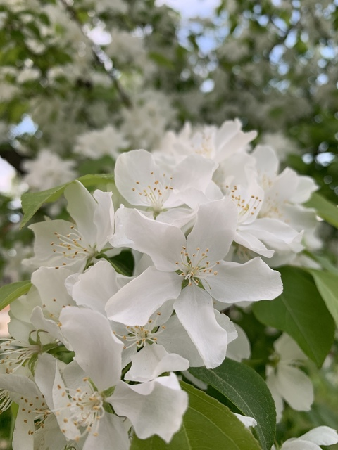 Leaked pandascosplay header onlyfans leaked