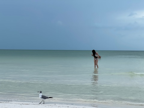 Leaked paolalvarado header onlyfans leaked