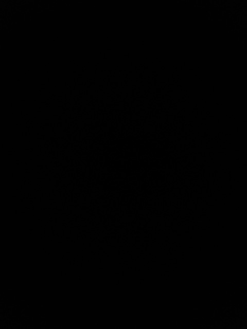 Leaked paradiseofj header onlyfans leaked