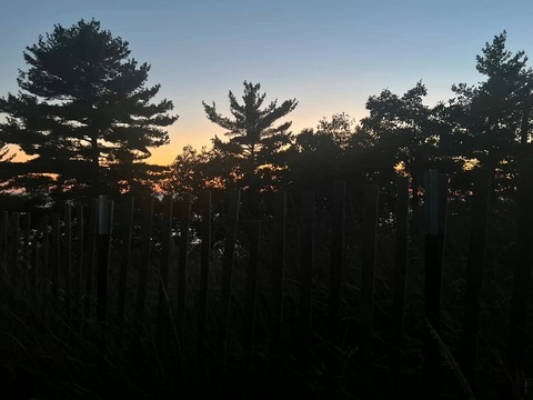 Leaked peaxhypaige header onlyfans leaked