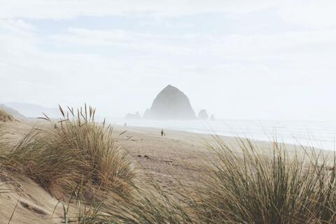 Leaked pedroteixeira.ofc header onlyfans leaked