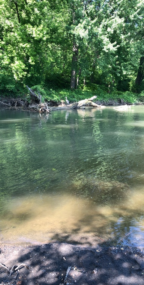 Leaked phteven91 header onlyfans leaked