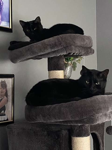 Leaked pintsizedmoonshine header onlyfans leaked