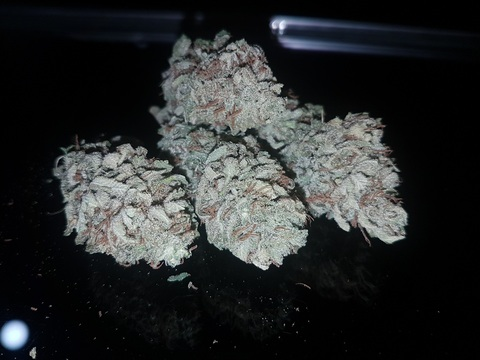 Leaked pizzaslut69 header onlyfans leaked