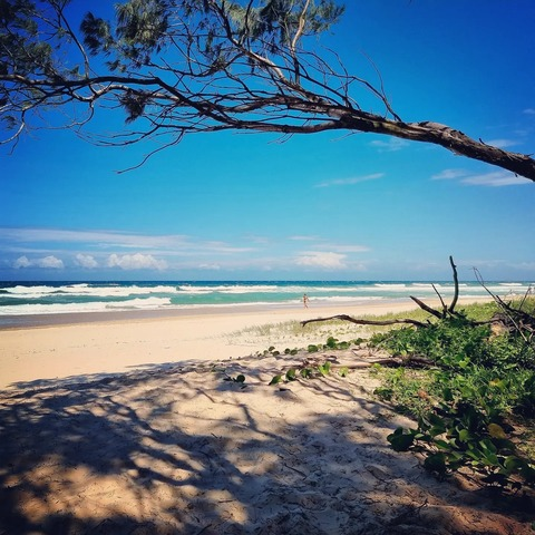 Leaked plantdaddysworld header onlyfans leaked