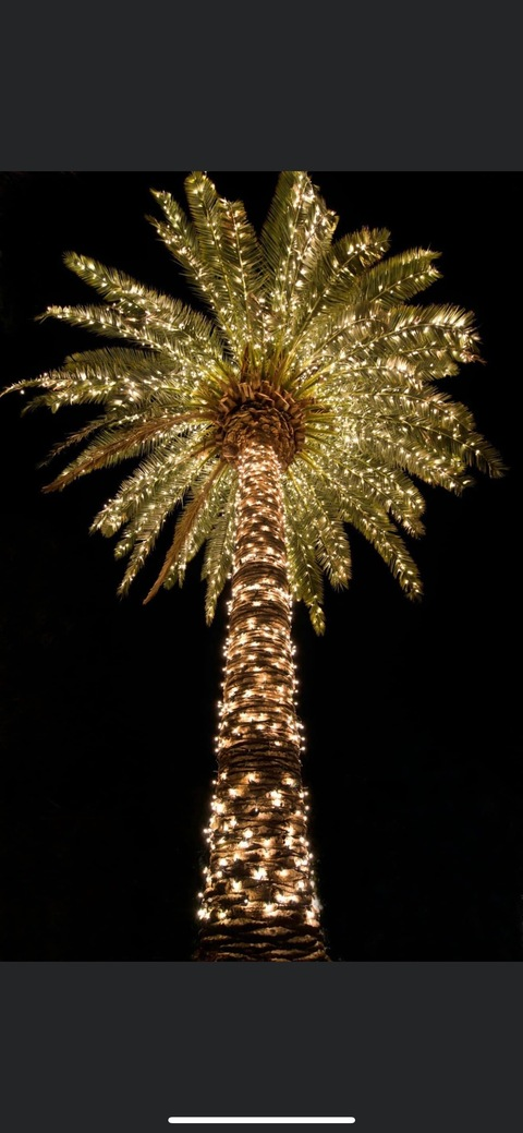 Leaked pocahantas3 header onlyfans leaked