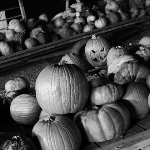 Leaked poppins2013 header onlyfans leaked