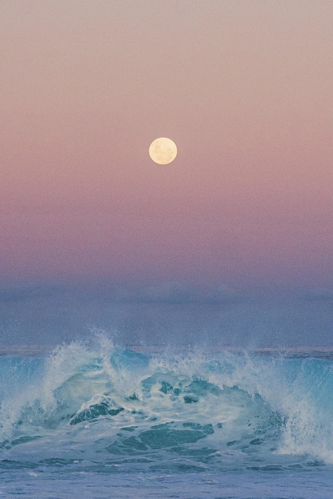 Leaked poppunk_princess header onlyfans leaked