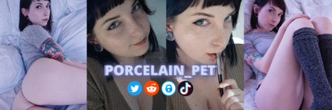 Leaked porcelain_pet header onlyfans leaked