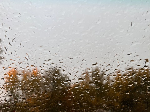 Leaked princessjennabeanie header onlyfans leaked