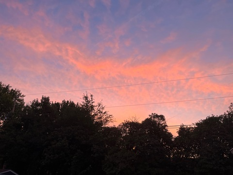 Leaked princesslife00 header onlyfans leaked