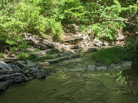 Leaked pupcoco header onlyfans leaked