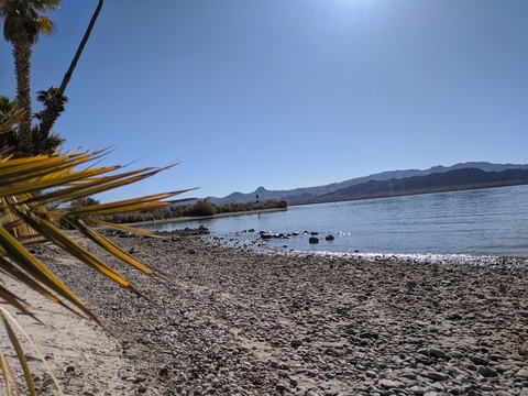 Leaked pureflamingo1998 header onlyfans leaked