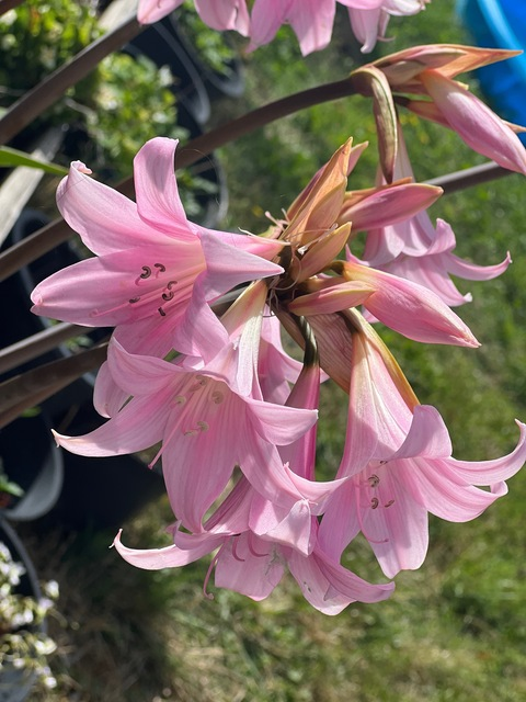 Leaked queen.kkay header onlyfans leaked