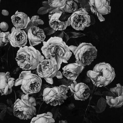 Leaked queeniebfree header onlyfans leaked