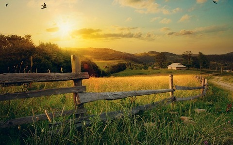 Leaked queenjord header onlyfans leaked