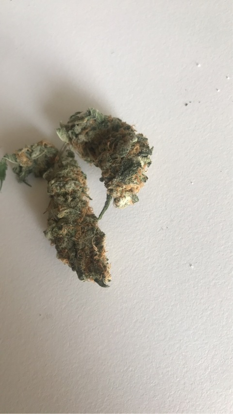 Header of queenlinela