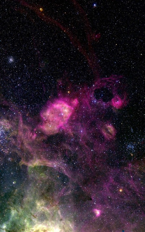 Leaked racyraccoon header onlyfans leaked