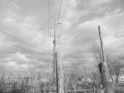 Leaked rainbowkitty96 header onlyfans leaked