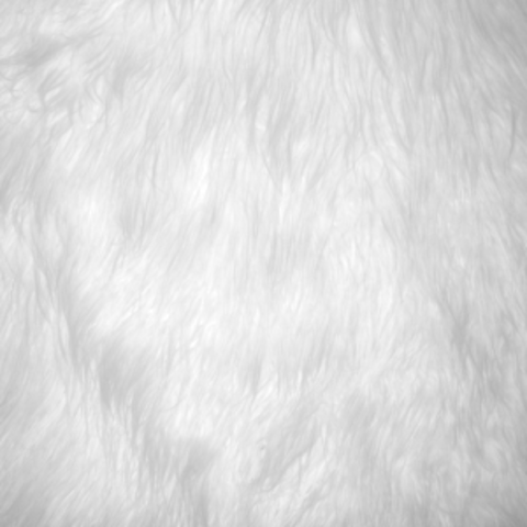 Leaked rayasapir header onlyfans leaked