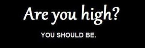 Leaked reptilianademente header onlyfans leaked