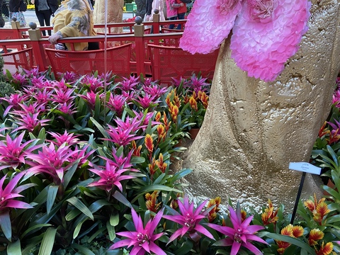 Leaked rexxarlington header onlyfans leaked