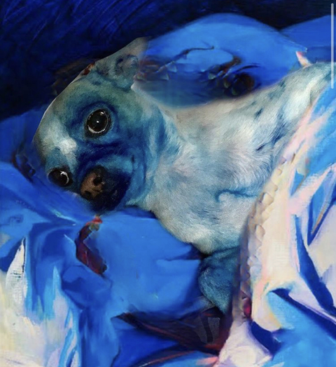 Leaked riah_aa header onlyfans leaked