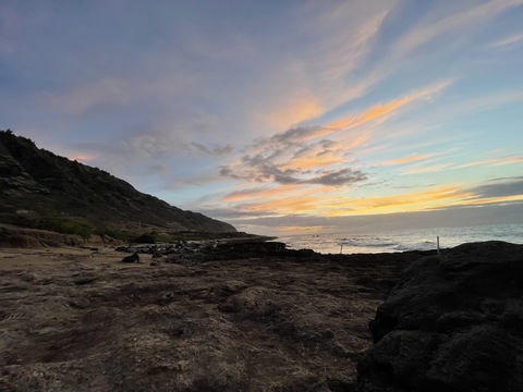 Leaked riley_alexis header onlyfans leaked