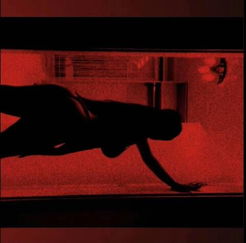 Leaked rileyreidx1 header onlyfans leaked