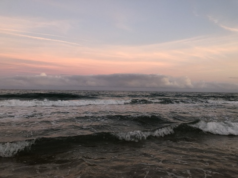 Leaked rosieepetals header onlyfans leaked